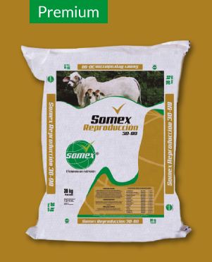SAL SOMEX REPRODUCCION 30 - 90 X 30 KL UNIDAD