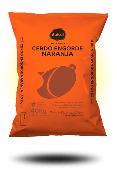 CERDO ENGORDE NARANJA X BULTO UNIDAD