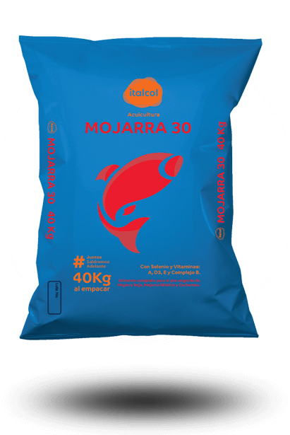 MOJARRA 30 % EXT X BTO UNIDAD
