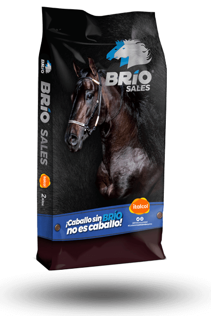 BRIO SALES X 2 KG UNIDAD