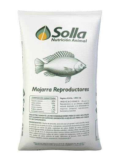 MOJARRA REPRODUCTORES X BULTO UNIDAD