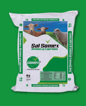 SAL SOMEX OVINOS Y CAPRINOS X 40 KG UNIDAD