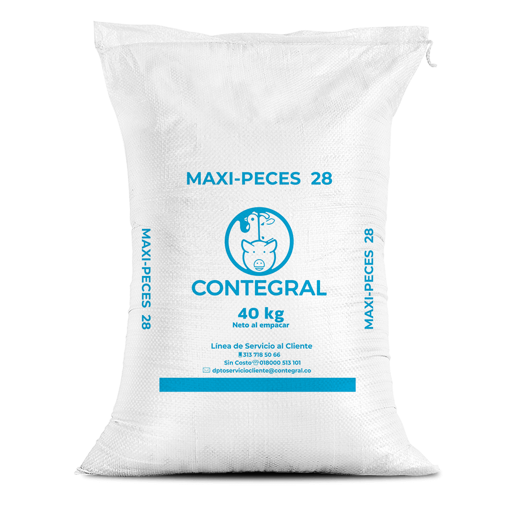 MAXI PECES 28 EXT X BULTO UNIDAD