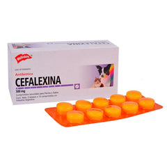 CEFALEXINA 500MG