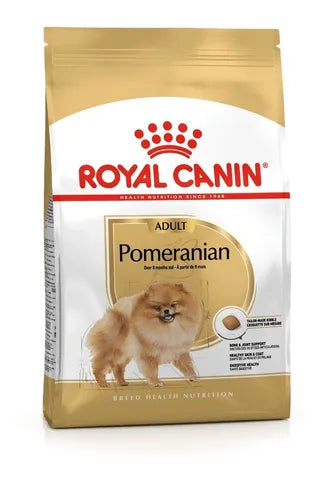 BHN POMERANIAN ADULT