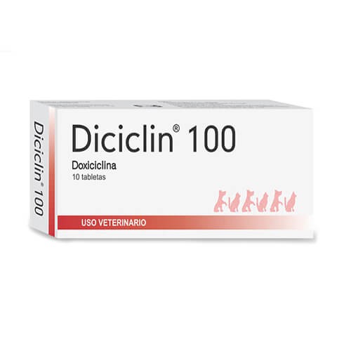 DICICLIN BLISTER X 100 MG