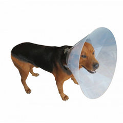 COLLAR ISABELINO